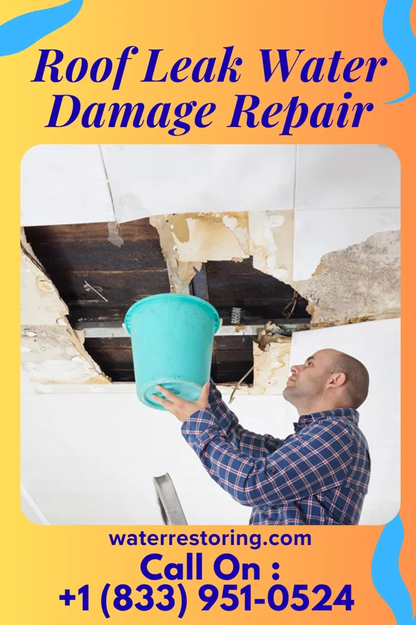 Roof Leak Water Damage Repair in Granjeno, TX
